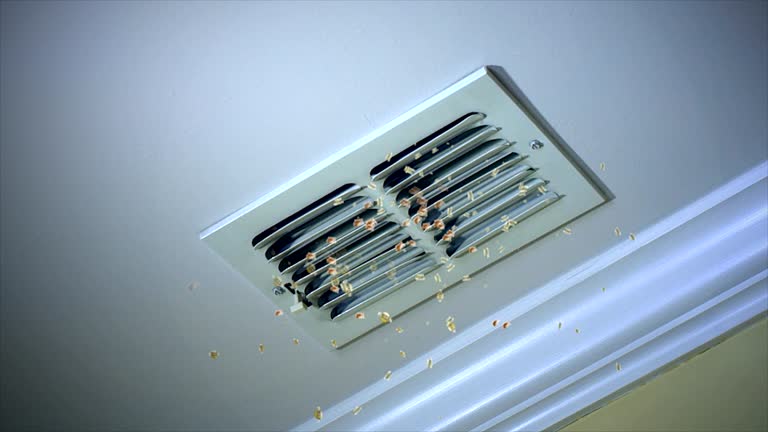 Best Commercial Air Duct Cleaning  in Rio Pinar, FL