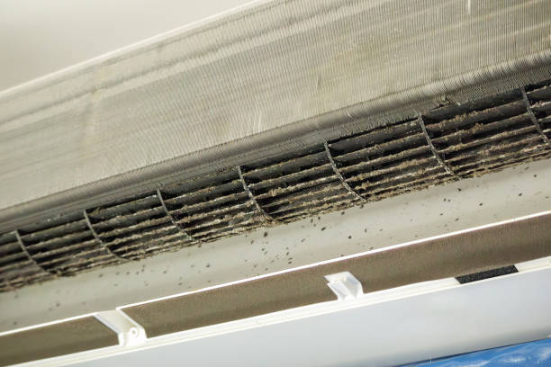 Best General Air Duct Cleaning  in Rio Pinar, FL
