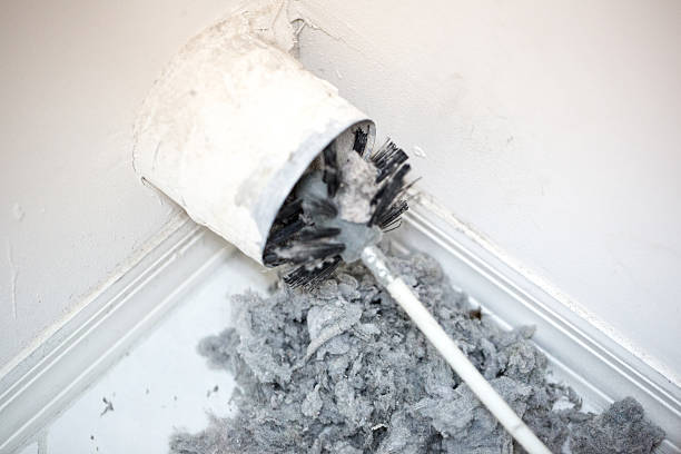 Best Affordable Duct Cleaning Services  in Rio Pinar, FL